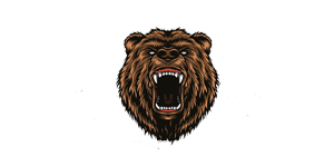 Bears